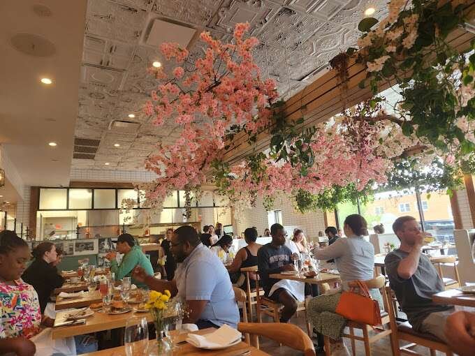 Ambar Restaurant - 10 Best Restaurants in Arlington VA (2023)