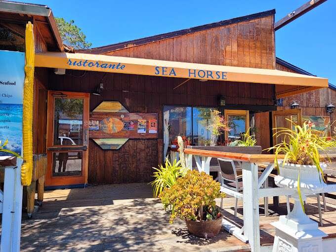 Sausolito Seahorse - 10 Best Restaurants in Sausalito (2023)