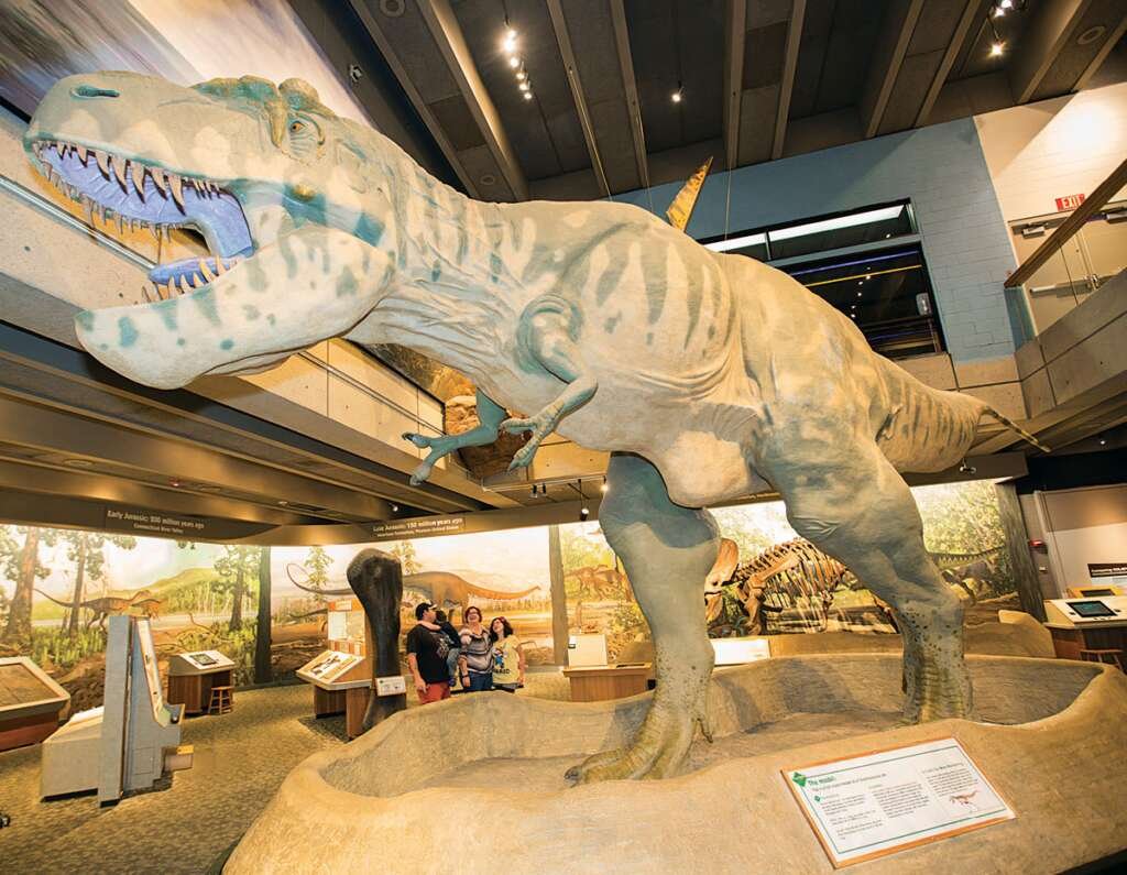 The Museum of Science - 9 Best Things to Do in Boston this Weekend with Family