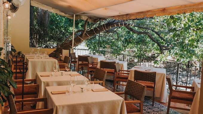Tintoque - 10 Best Restaurants in Puerto Vallarta (2023)