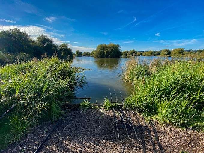 Monk Lakes - Top 15 Best Fishing Lakes in Kent With Pictures (2024)