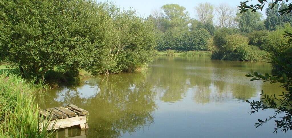 Cottington Lakes - Top 15 Best Fishing Lakes in Kent With Pictures (2024)